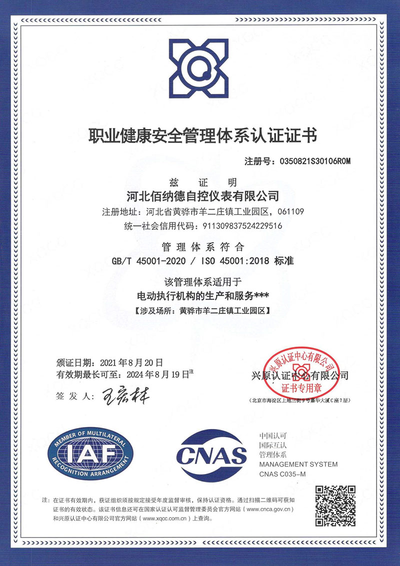 Occupational Health and Safety Management 45001 certification